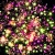 КАРНАВАЛЬНАЯ НОЧЬ (0,8", 1", 1,25"х 46) КАРНАВАЛЬНАЯ НОЧЬ (0,8", 1", 1,25"х 46)